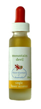 Mountain devil