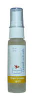 Travel-refresh Spritz 25ml